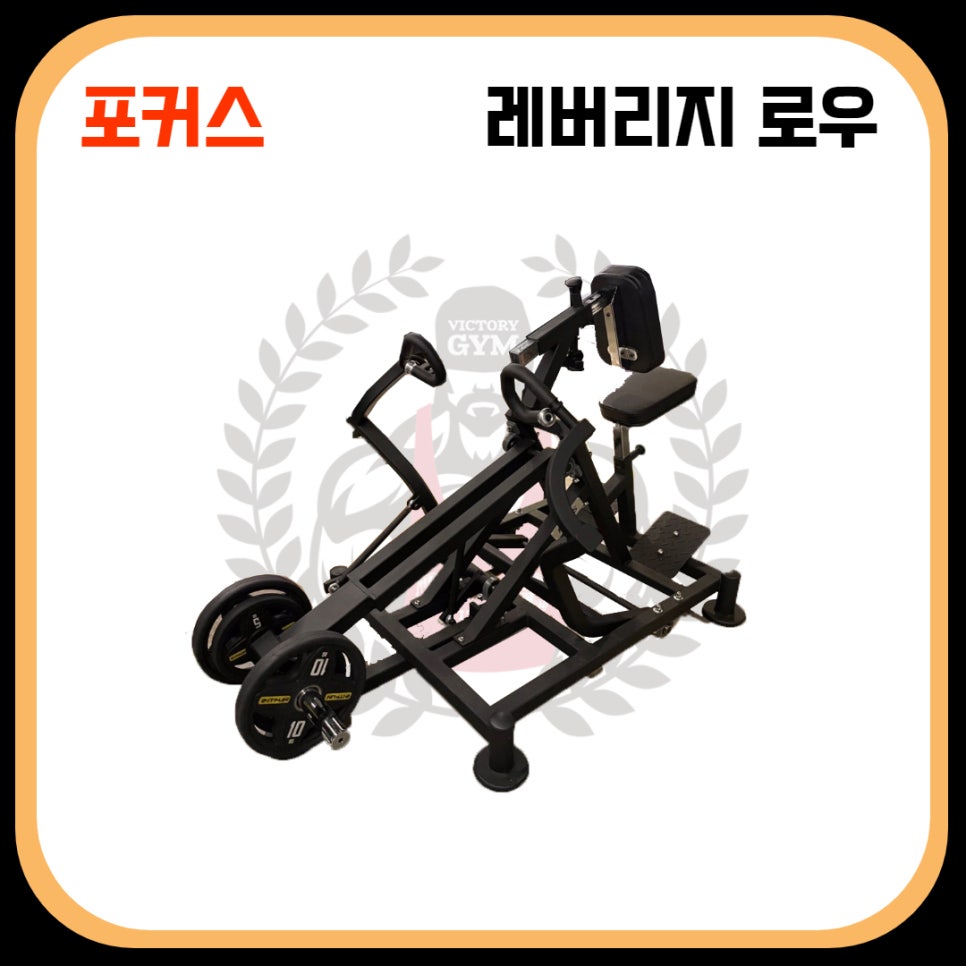 포커스짐 이미지