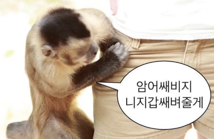 통통배 이미지