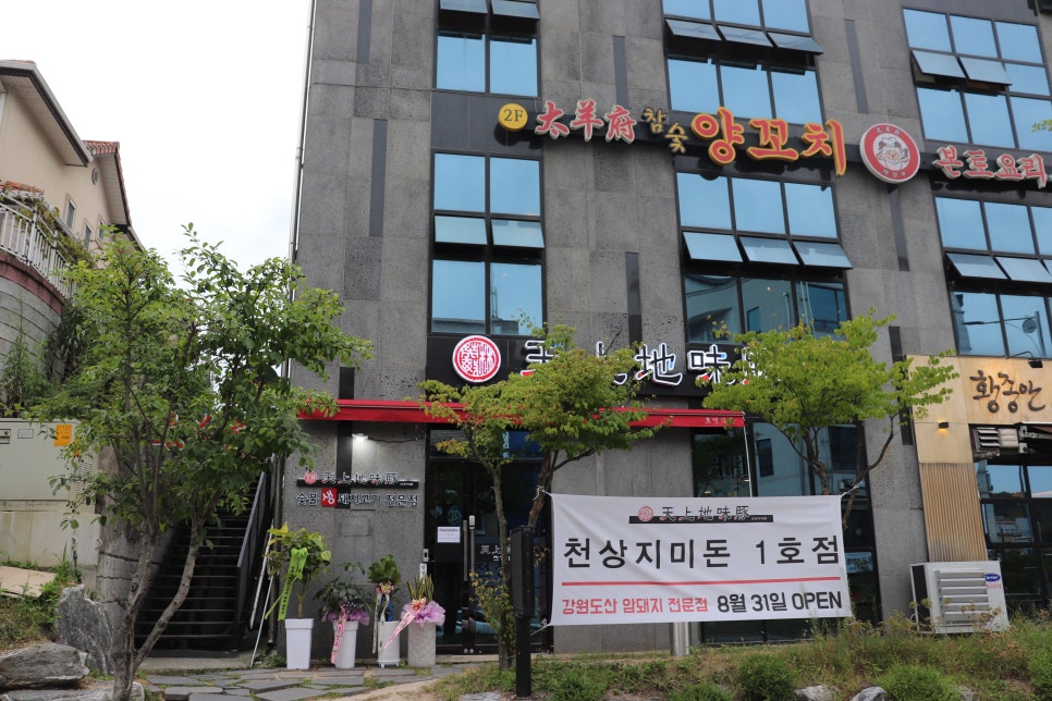 지미돈 이미지