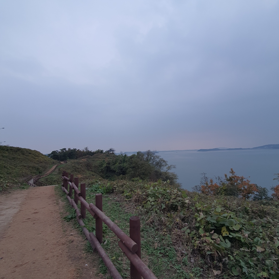 영이네수산 이미지