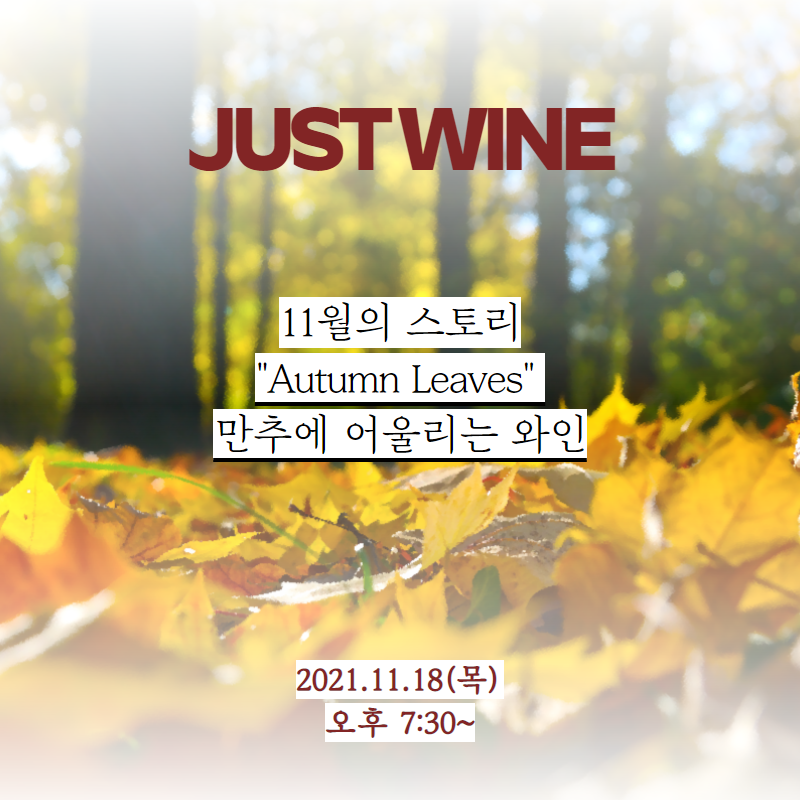 아트인와인 이미지