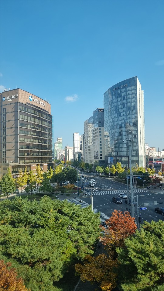 세무법인포유 이미지