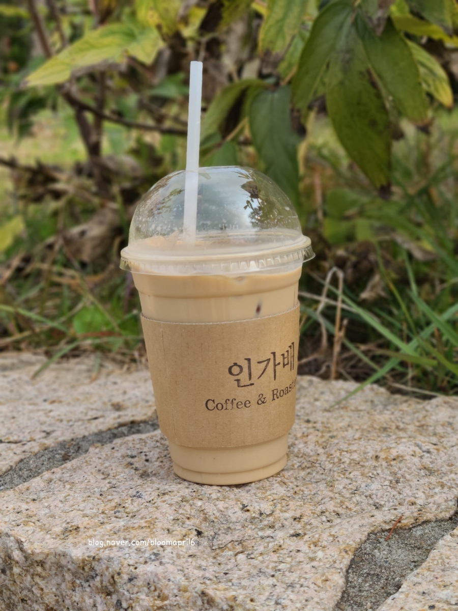 인가배 이미지