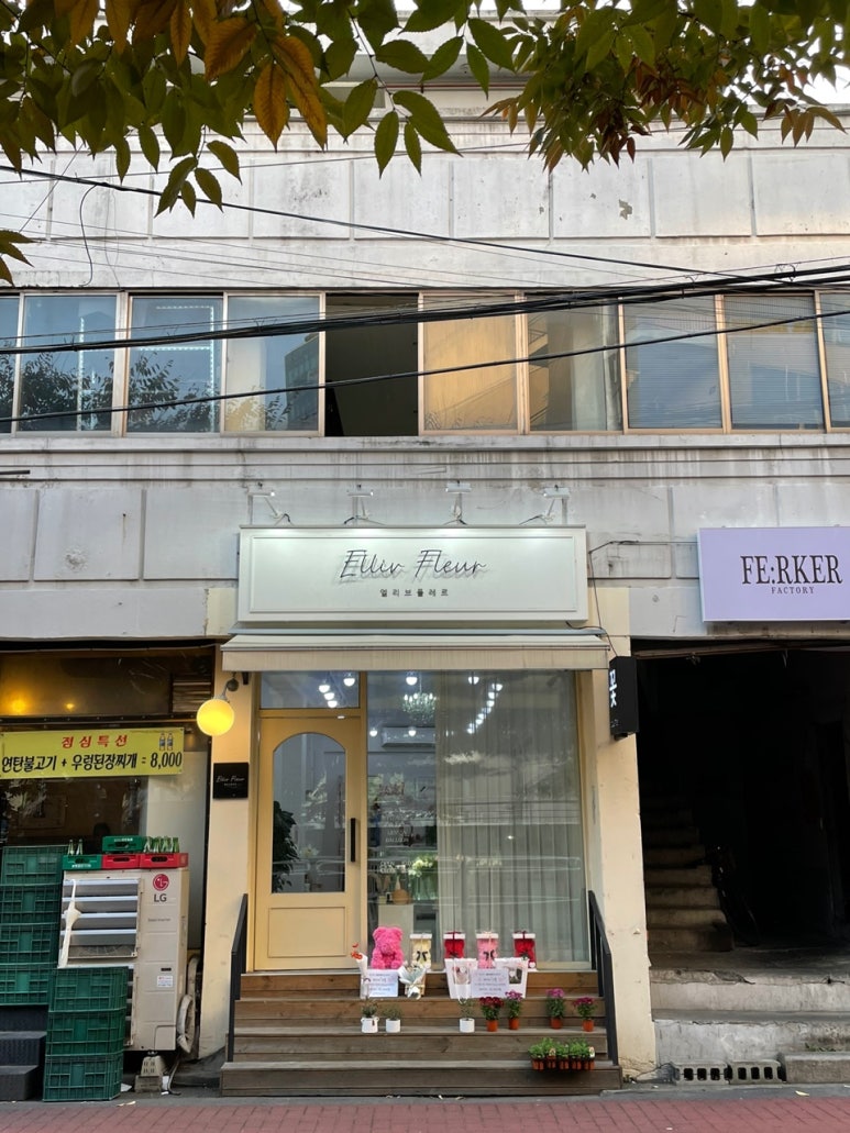 엘리브플레르 이미지