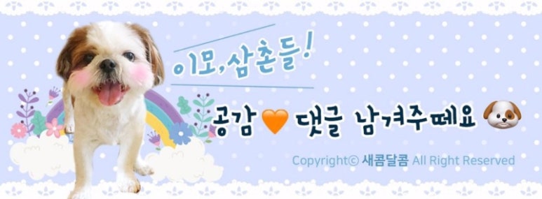 파닥파닥회참치 이미지