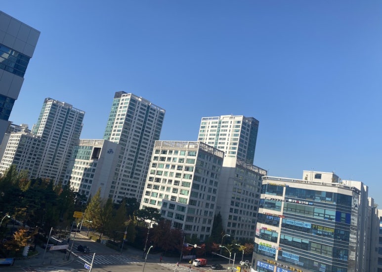 팀윤짐송도 이미지