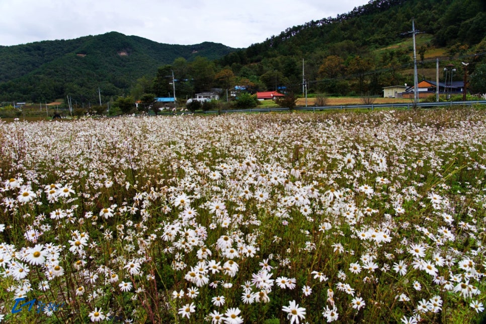 너와두리농촌캠핑장 이미지