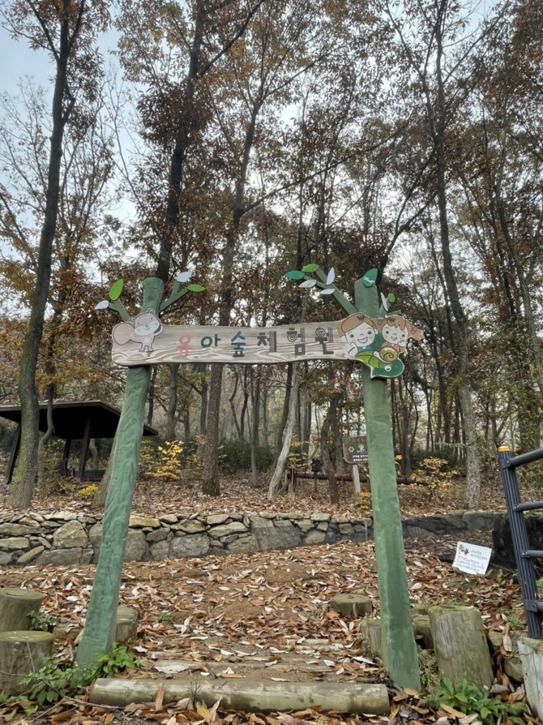 공주산림휴양마을 유아숲체험원 이미지