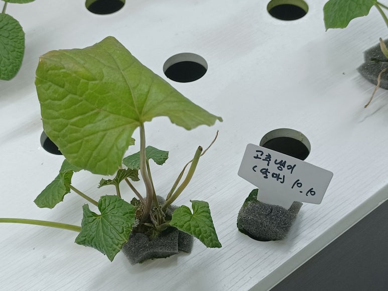 가량수협동조합 이미지