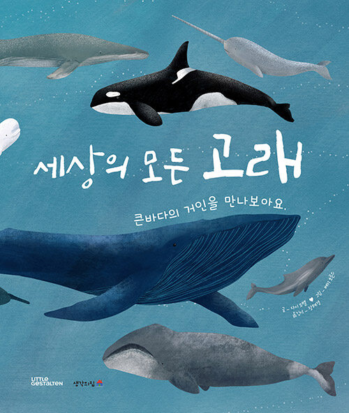 유쾌한고래 이미지