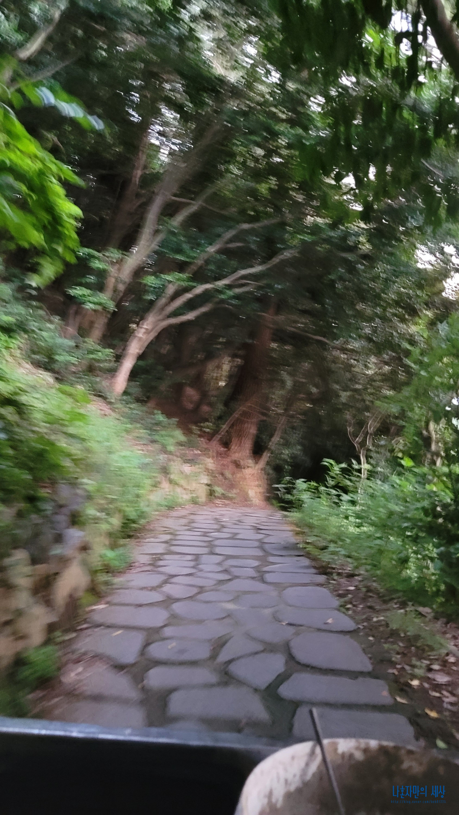 섬마을바다풍경 이미지