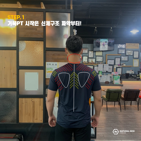 네츄럴박스 이미지