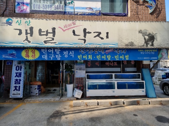 신안갯벌세발낙지 이미지