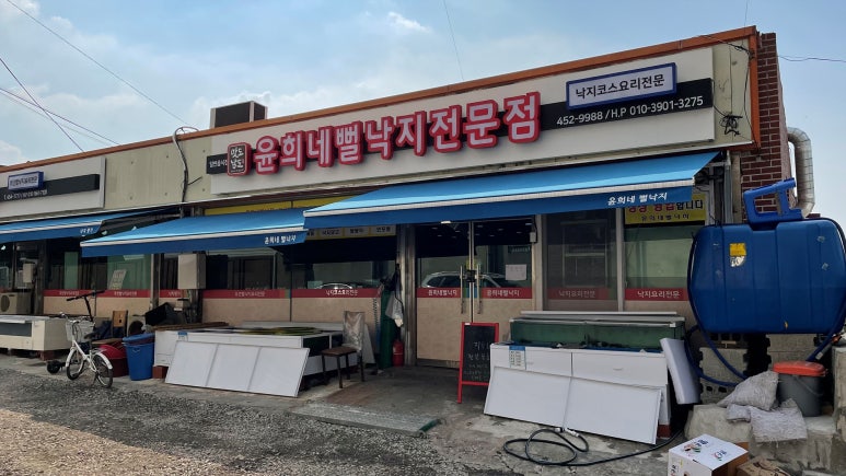 독천무안뻘낙지 이미지