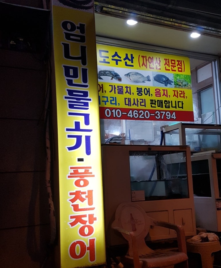 엄니민물고기 이미지