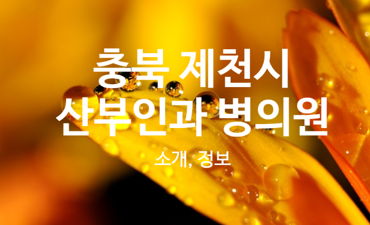 의료법인 자산의료재단 제천서울병원 이미지