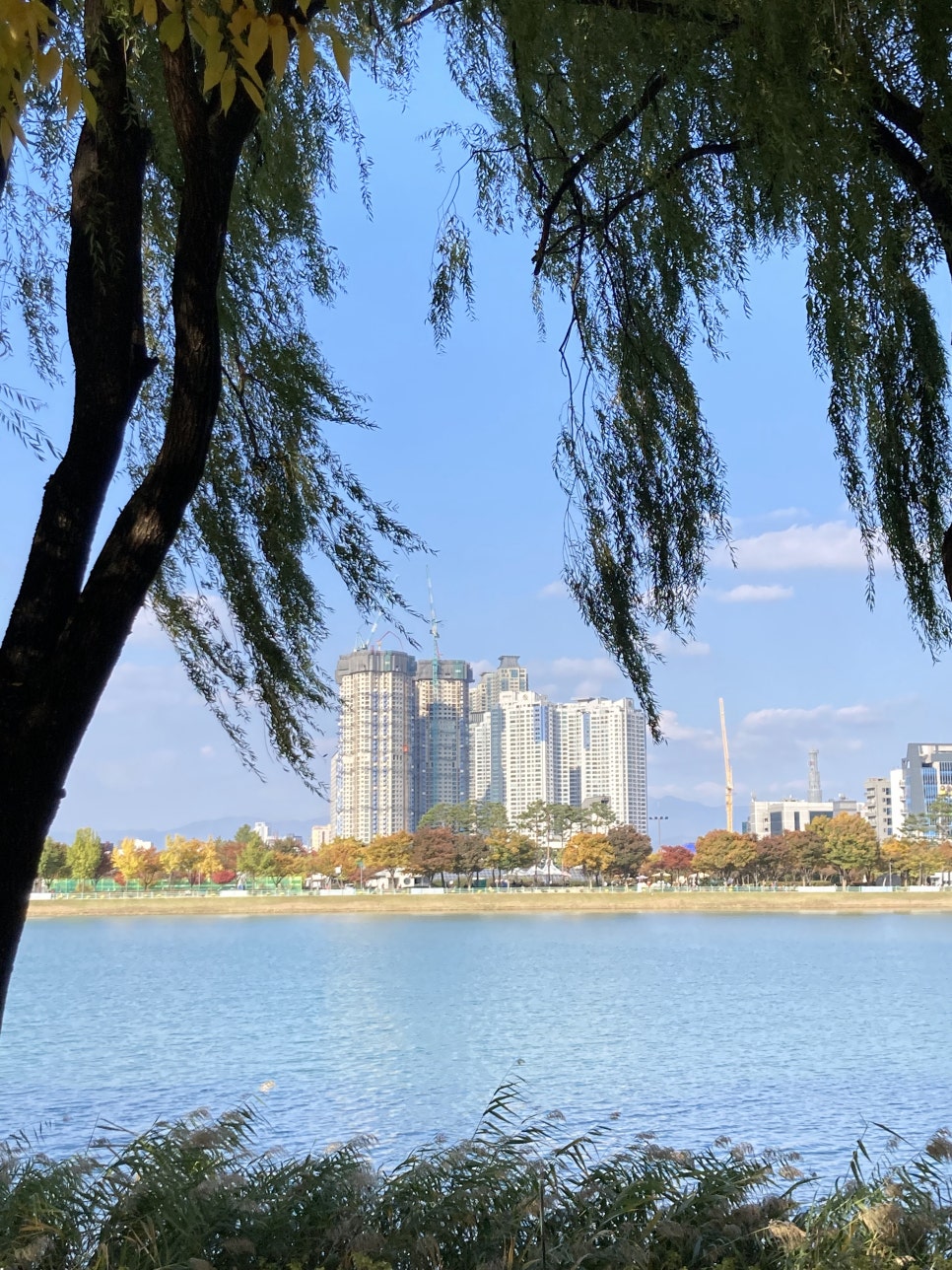 아르테미스스튜디오 이미지