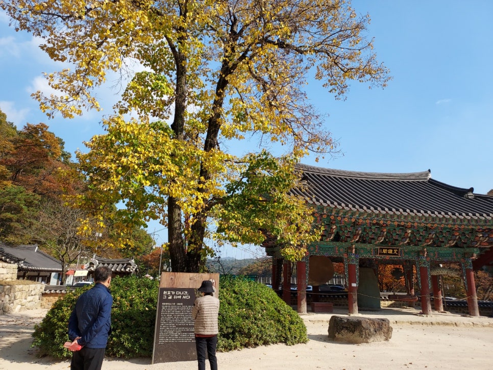 오어사특산물 이미지