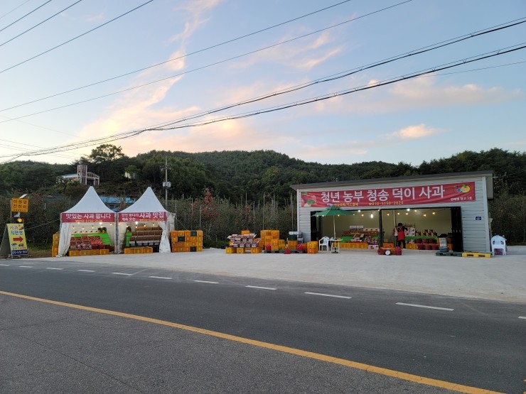 팜5150 이미지
