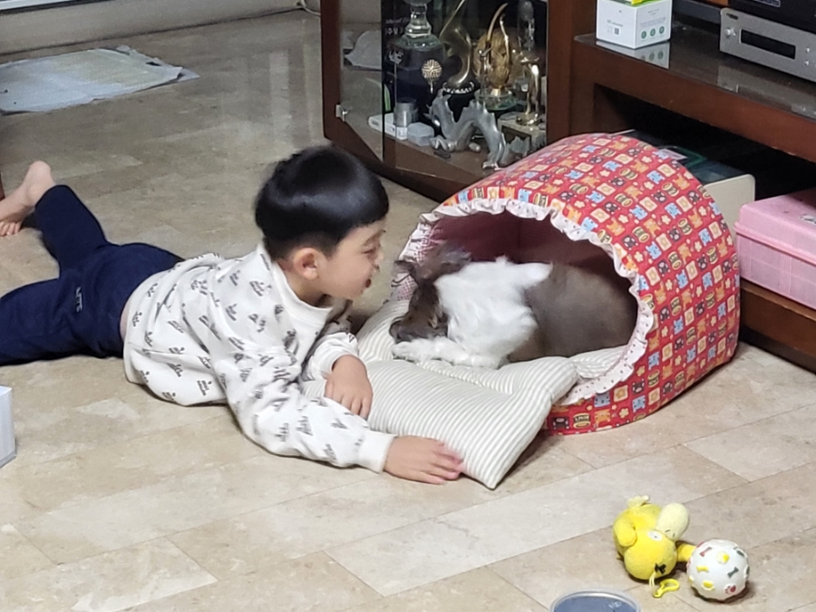 진참치랑연어 이미지