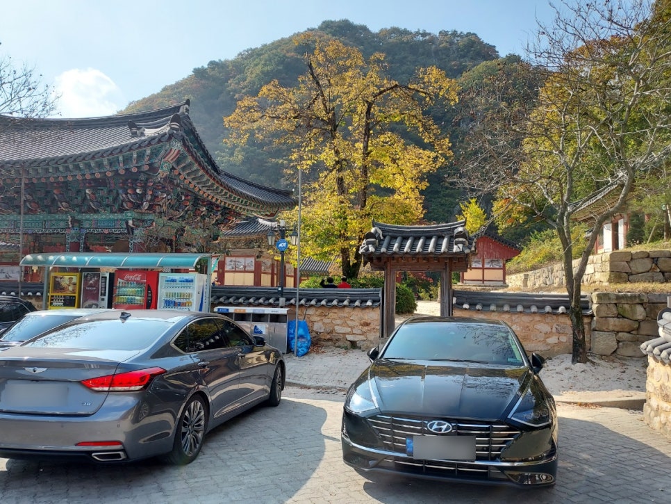 오어사특산물 이미지