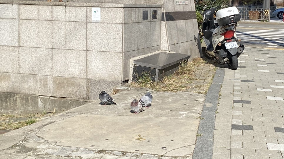 네네꽃집 이미지