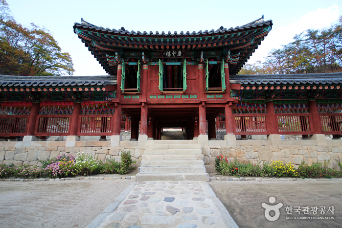 강촌잠빌뮤직펜션 이미지