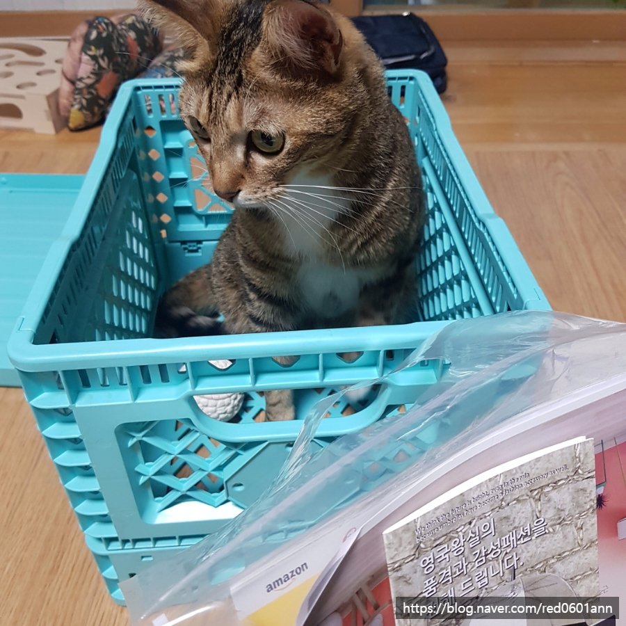 에스에이인터내셔널 이미지