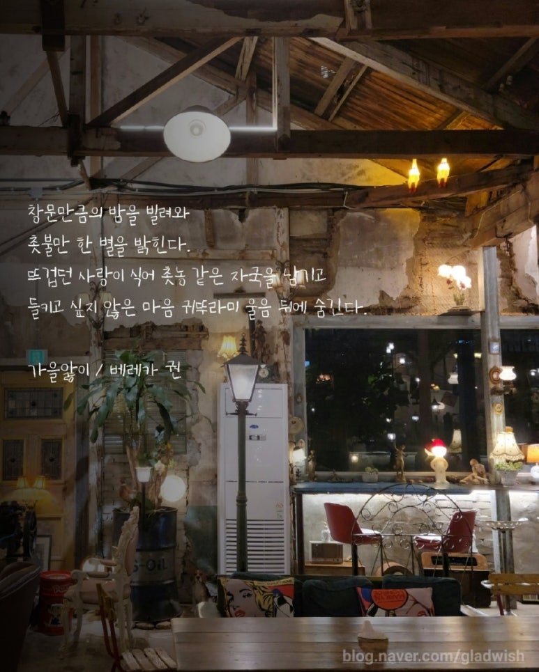 베레카 이미지