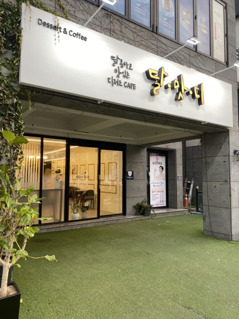 달맛디 이미지