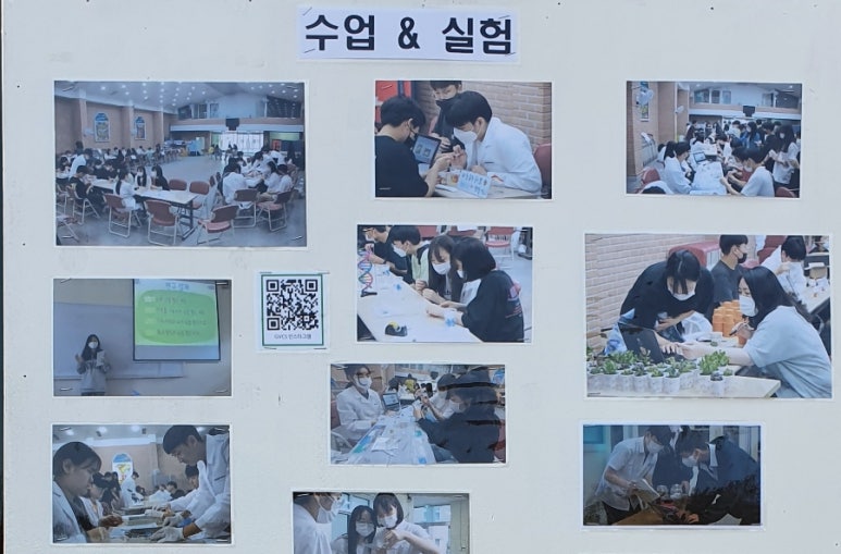 글로벌선진투어 이미지