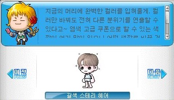 스테리헤어 이미지