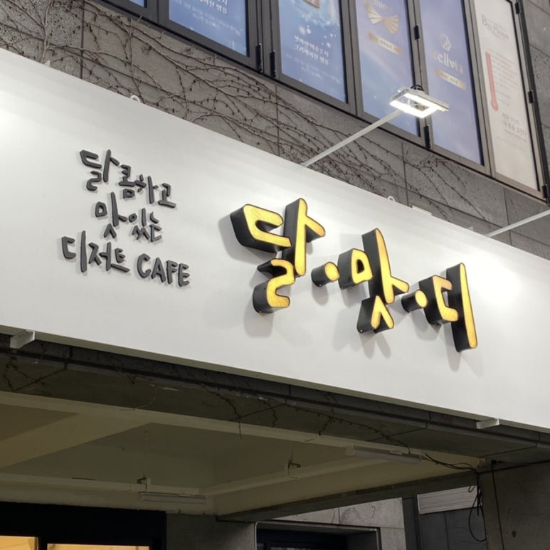 달맛디 이미지