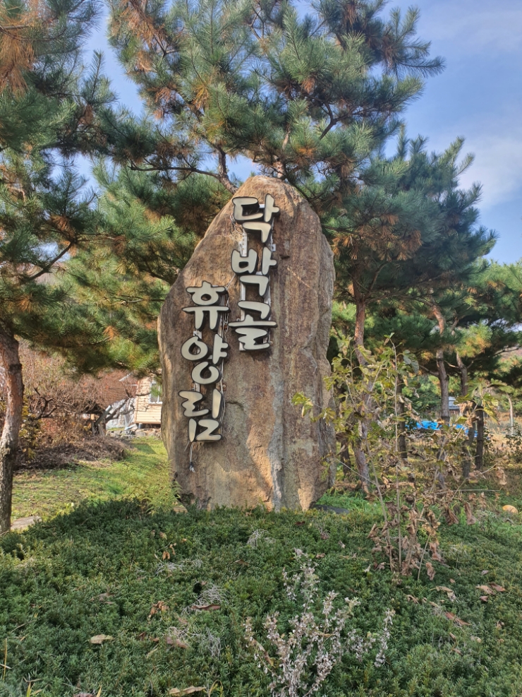 닥박골 휴양림 이미지