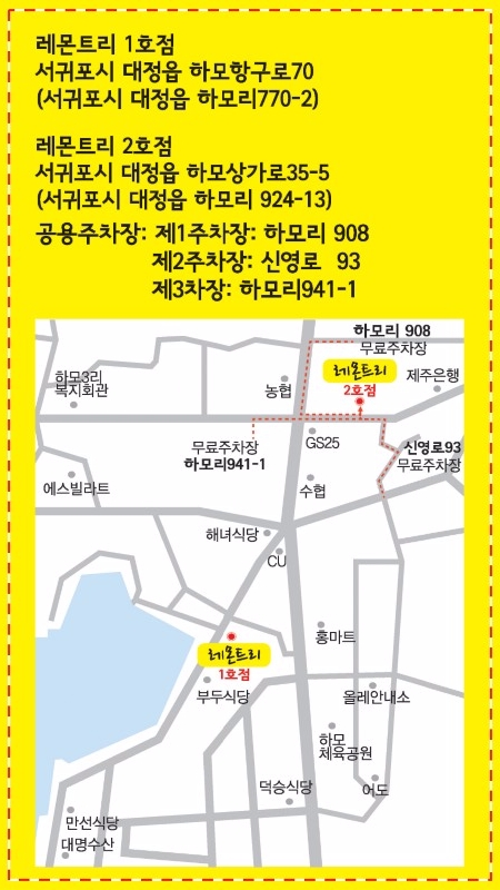레몬트리 이미지
