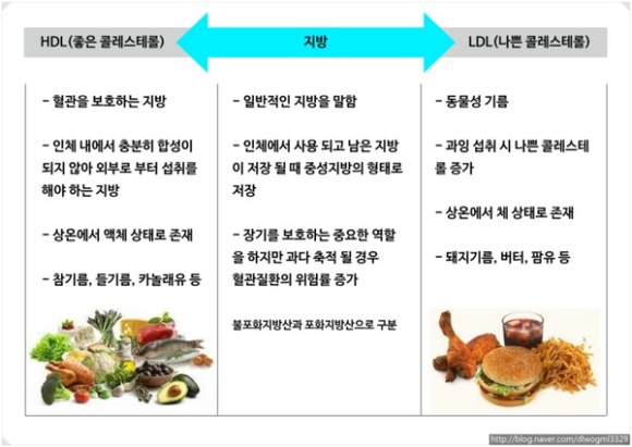 팀타이거짐 이미지