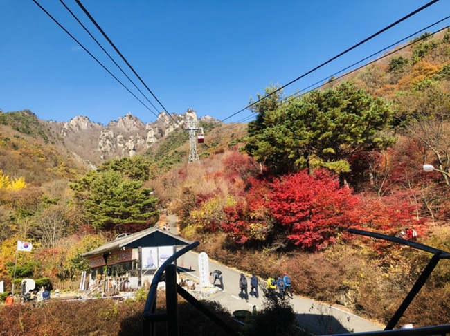 대둔산힐링센터 이미지