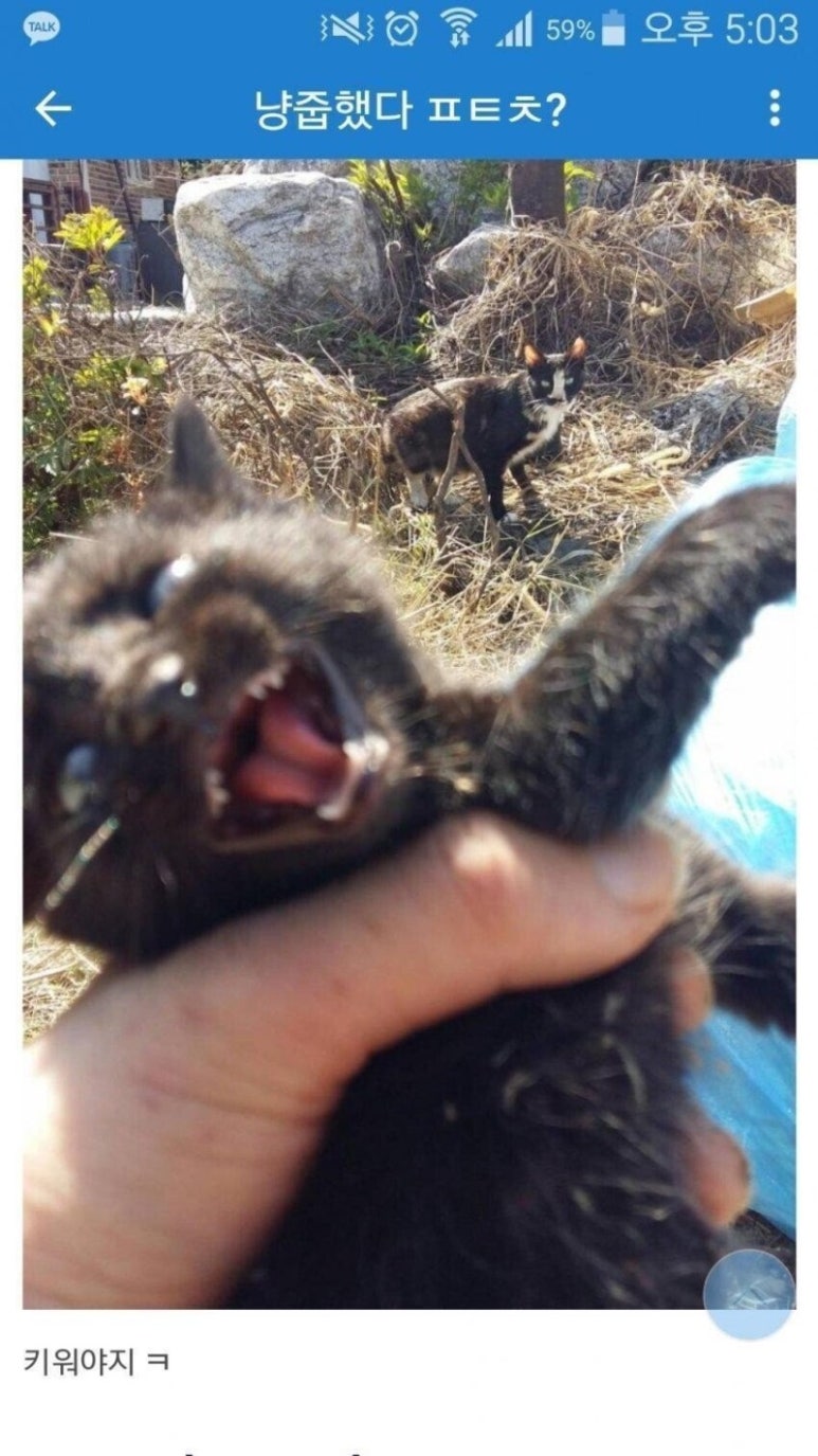 변강쇠밧데리 이미지