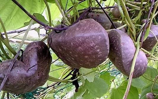 하늘과열매(주) 이미지
