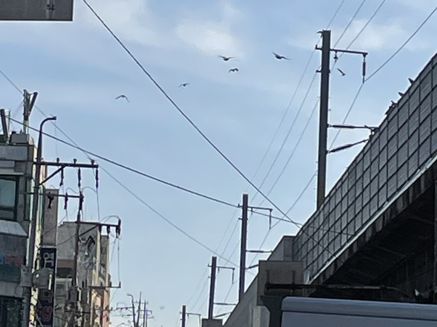 메가당구클럽 이미지
