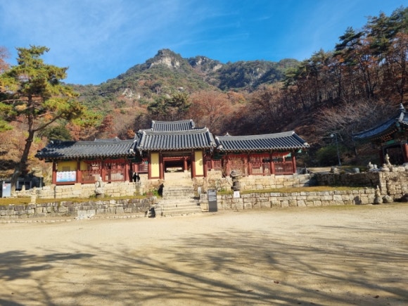 동백관광여행사 이미지