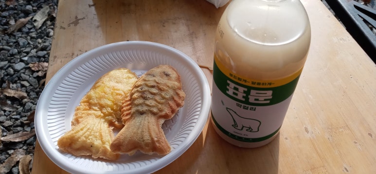 느티나무그늘아래캠핑장 이미지