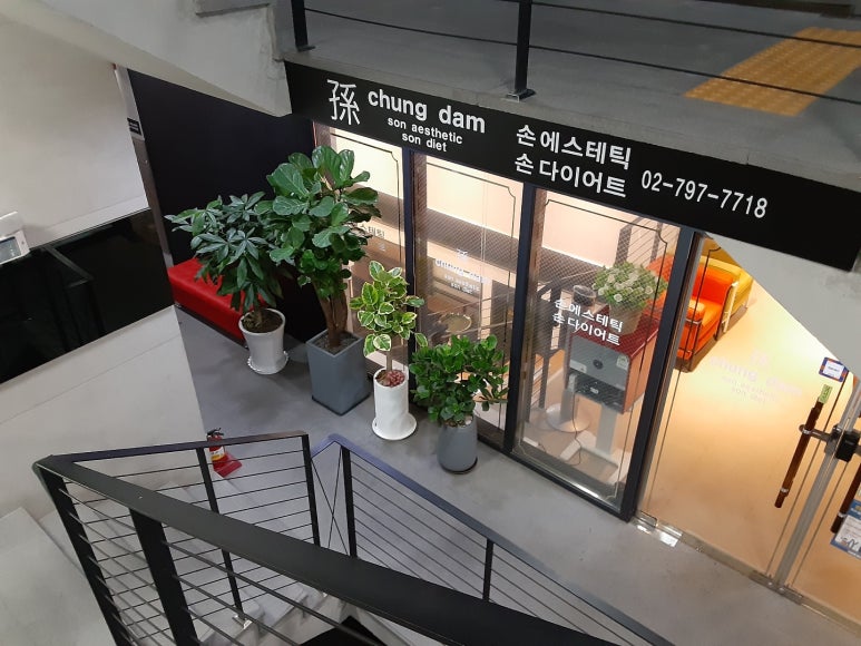 손에스테틱 이미지