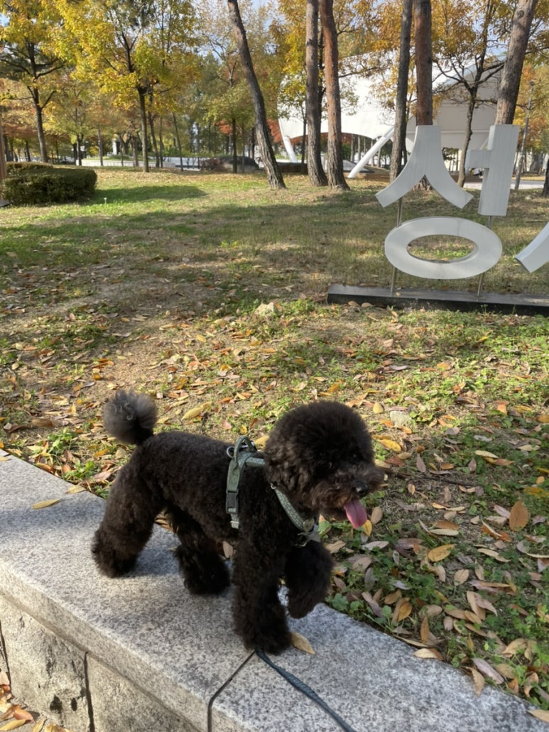 성서아울렛공원 이미지