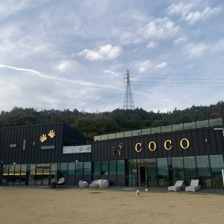 코코독스 이미지