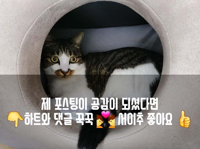 오뚝이푸드 이미지