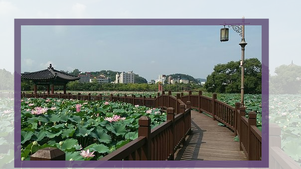 신화온수마루 이미지