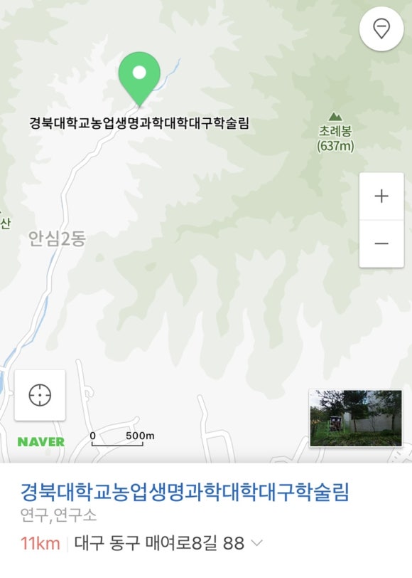 매여국수 이미지
