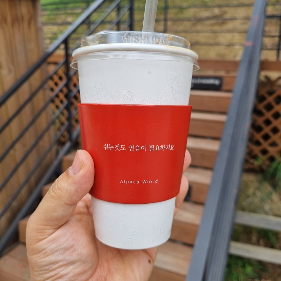 월드여행사주 이미지