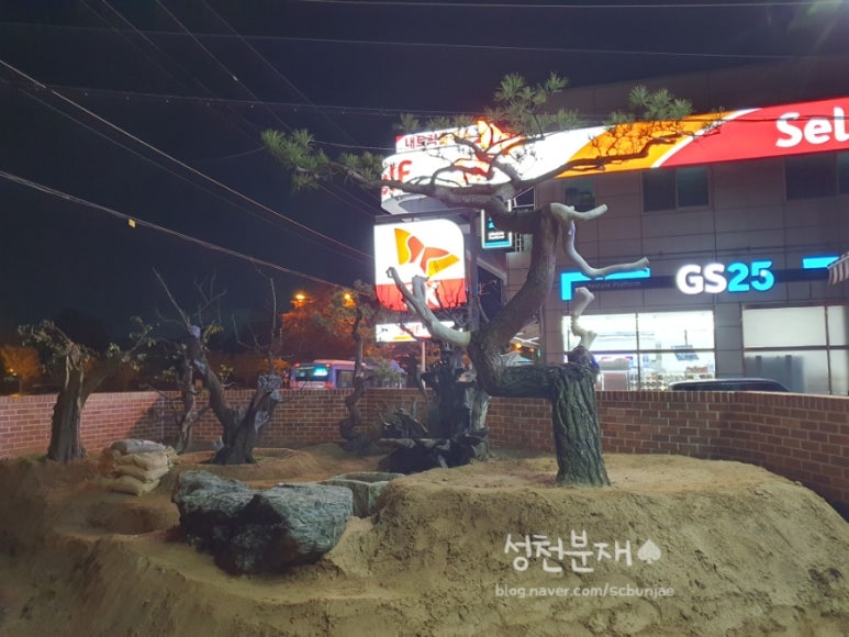 성천분재 이미지